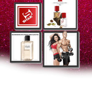 Shaik № 191 Aroma Paris Venisa